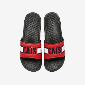 Arizona Wildcats Raised Wordmark Slide