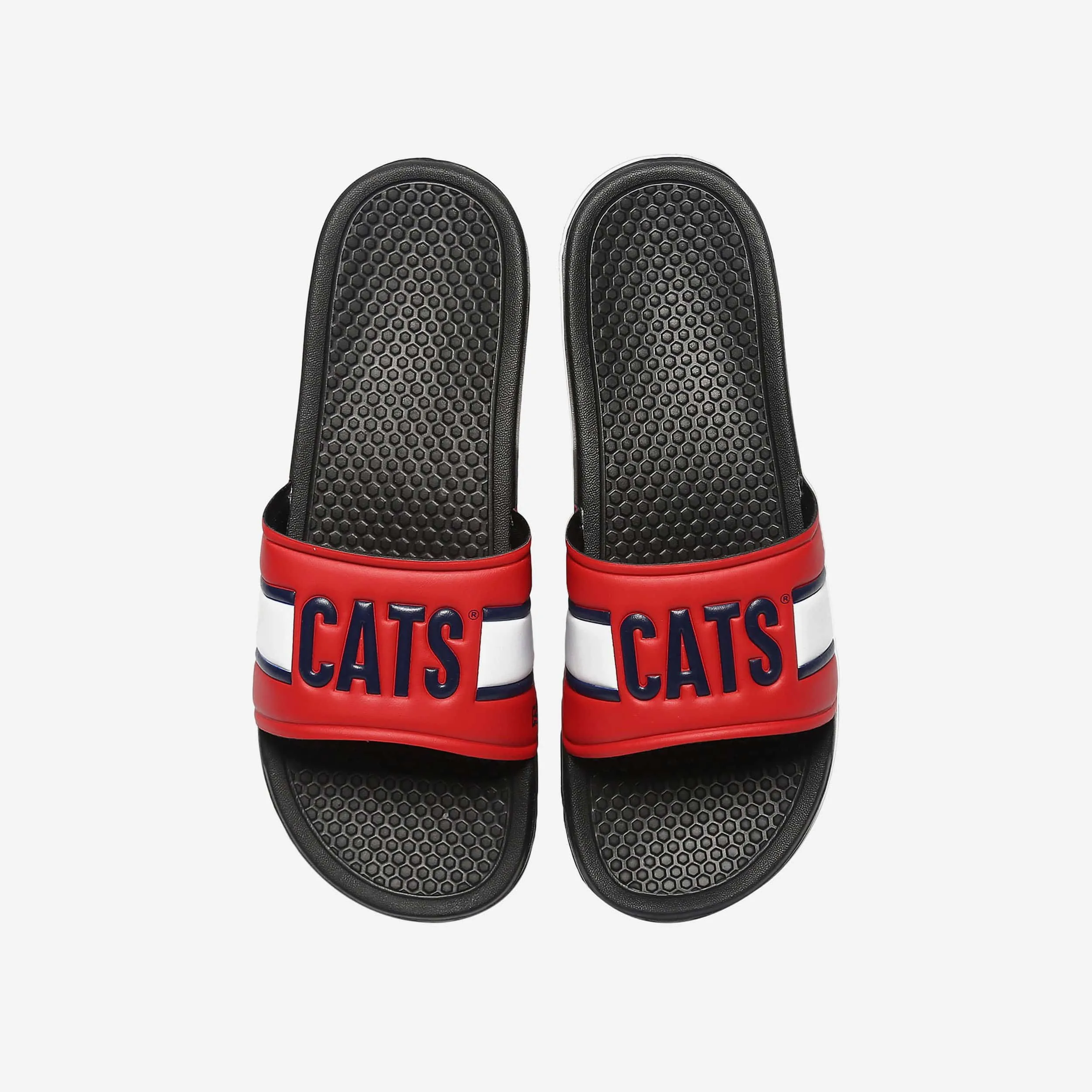 Arizona Wildcats Raised Wordmark Slide