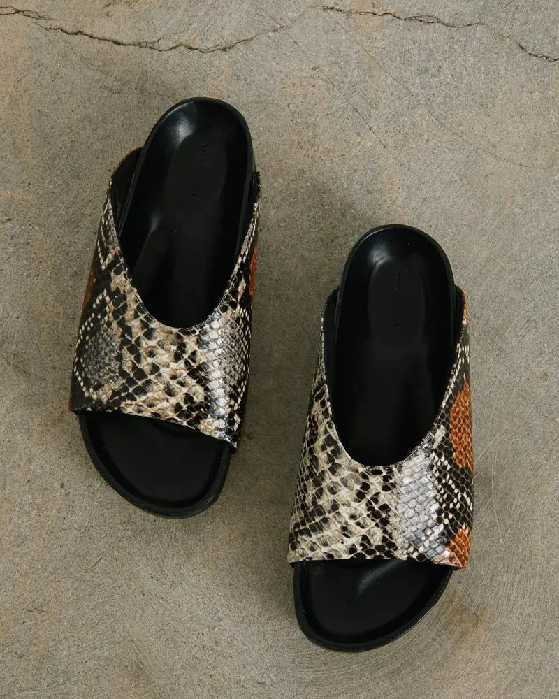 Dip Slide in Snake