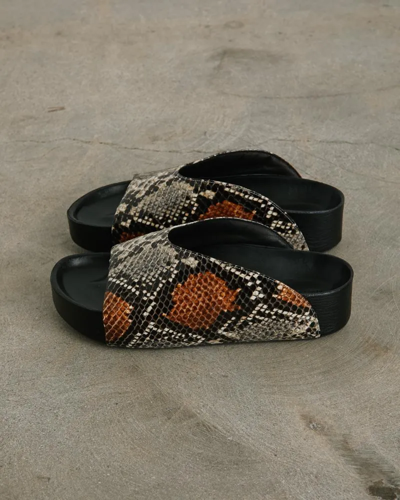 Dip Slide in Snake