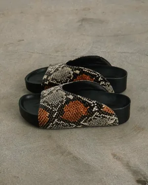Dip Slide in Snake