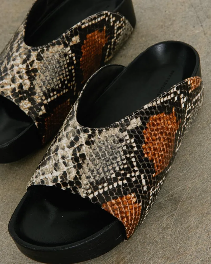 Dip Slide in Snake
