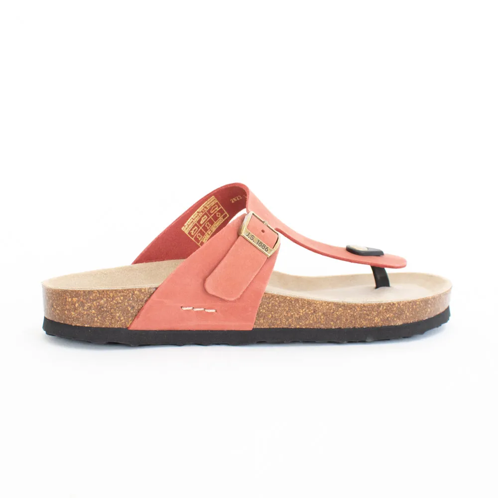 Hermine 02 Coral