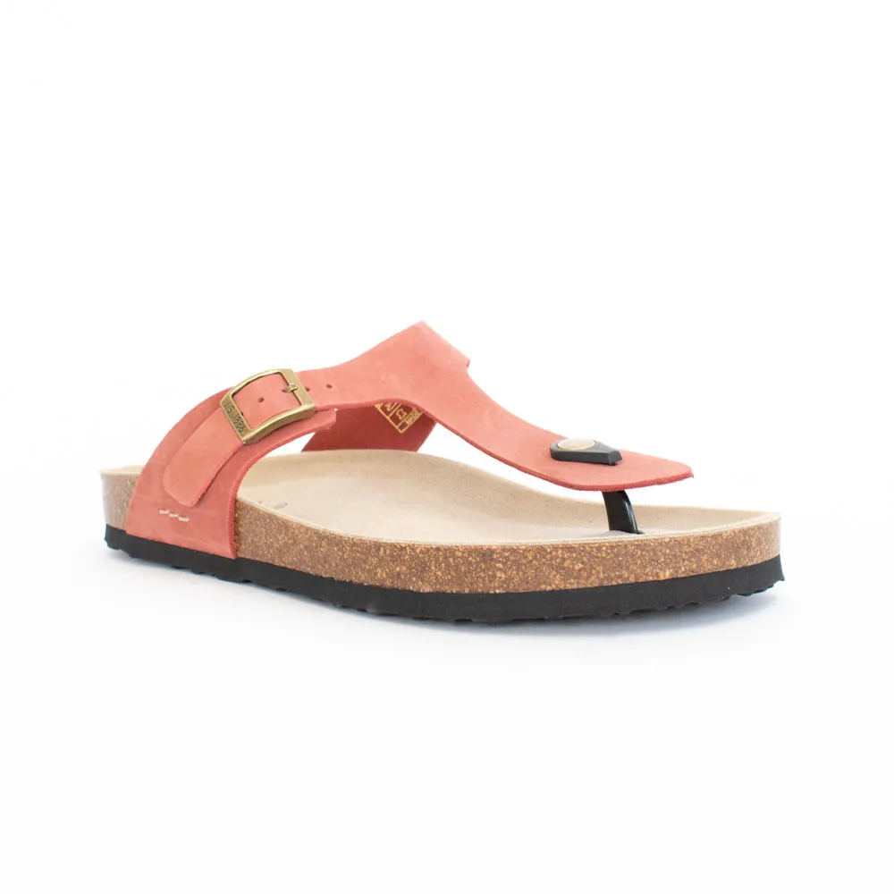 Hermine 02 Coral