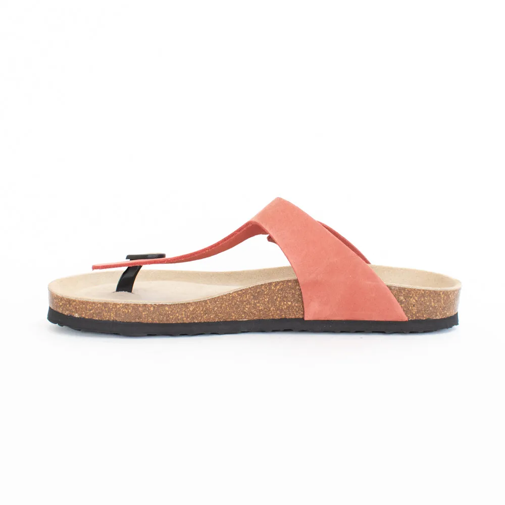 Hermine 02 Coral