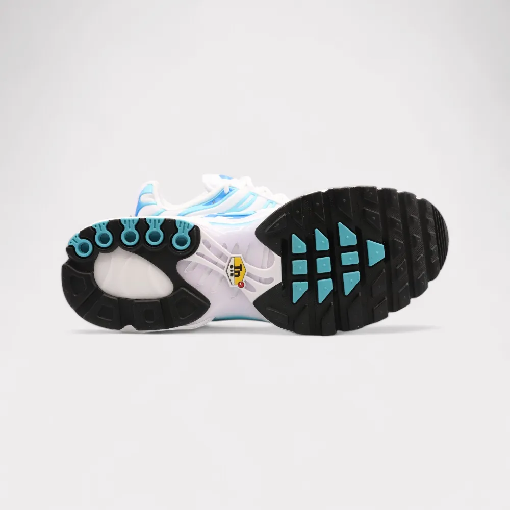 Nike Air Max Plus - Polarized Blue
