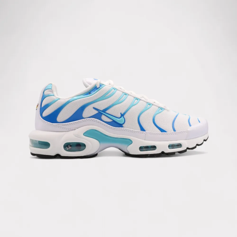 Nike Air Max Plus - Polarized Blue