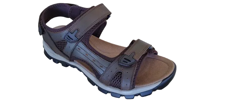 NORMAN EXPLORER