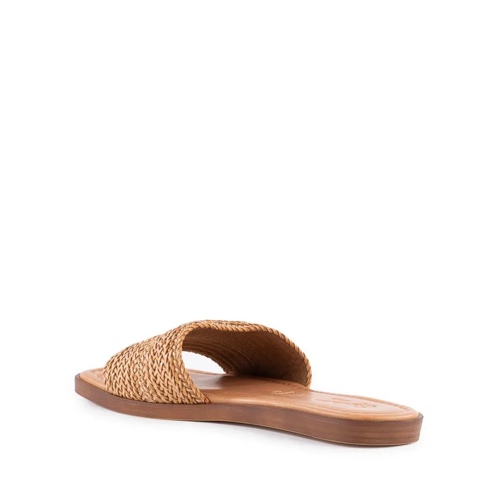 Palms Perfection Slide