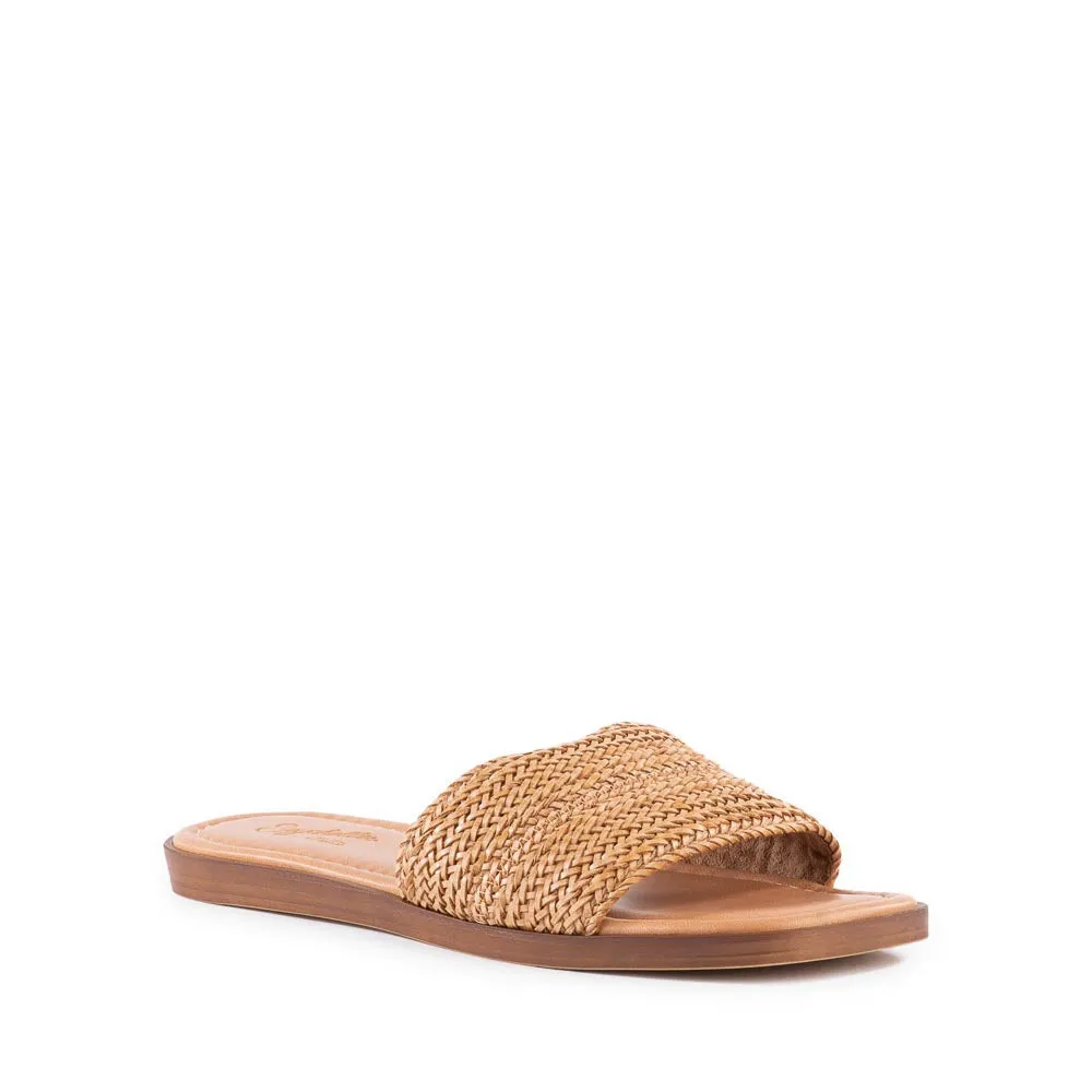 Palms Perfection Slide