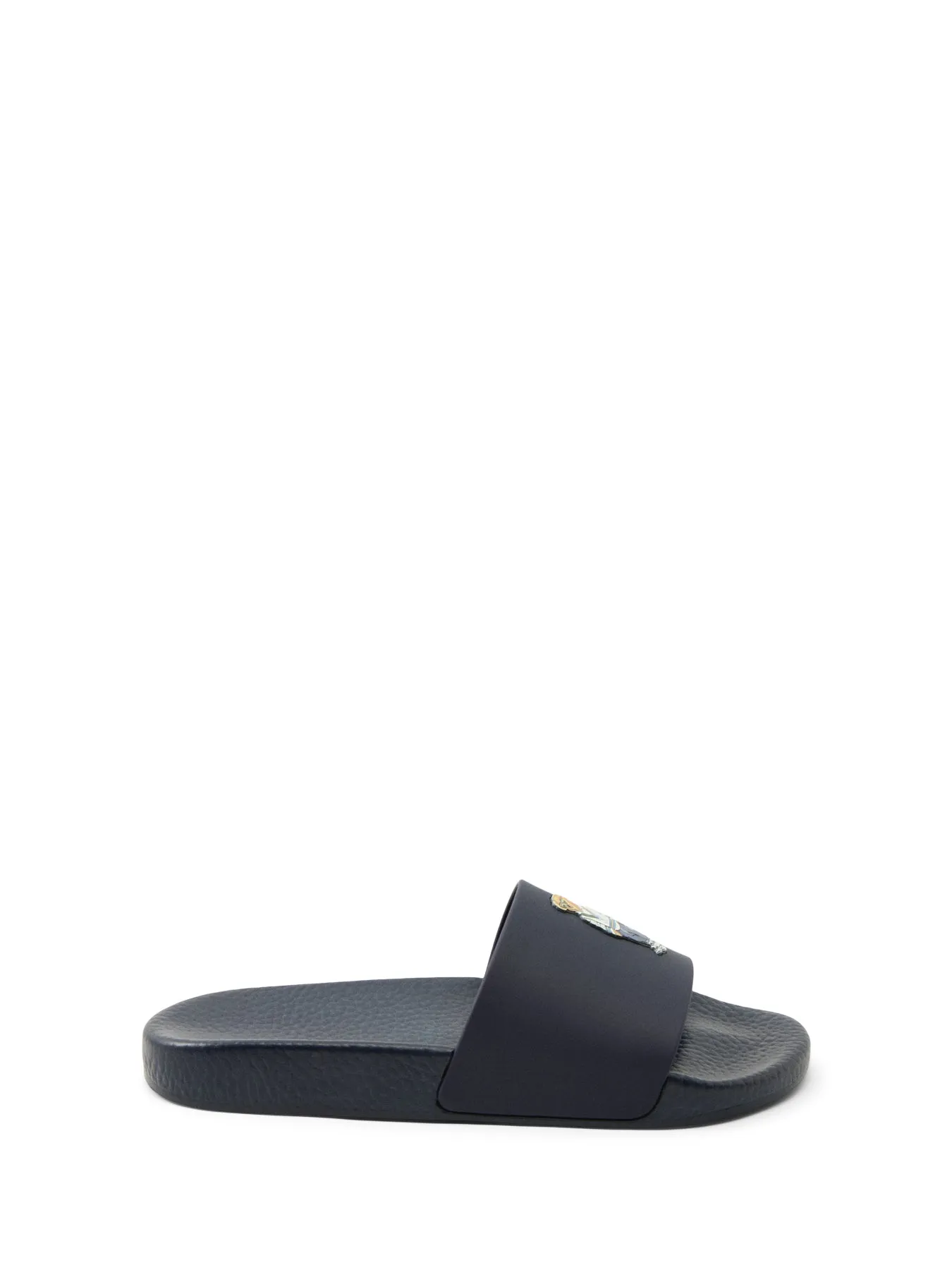 Polo Bear Slide