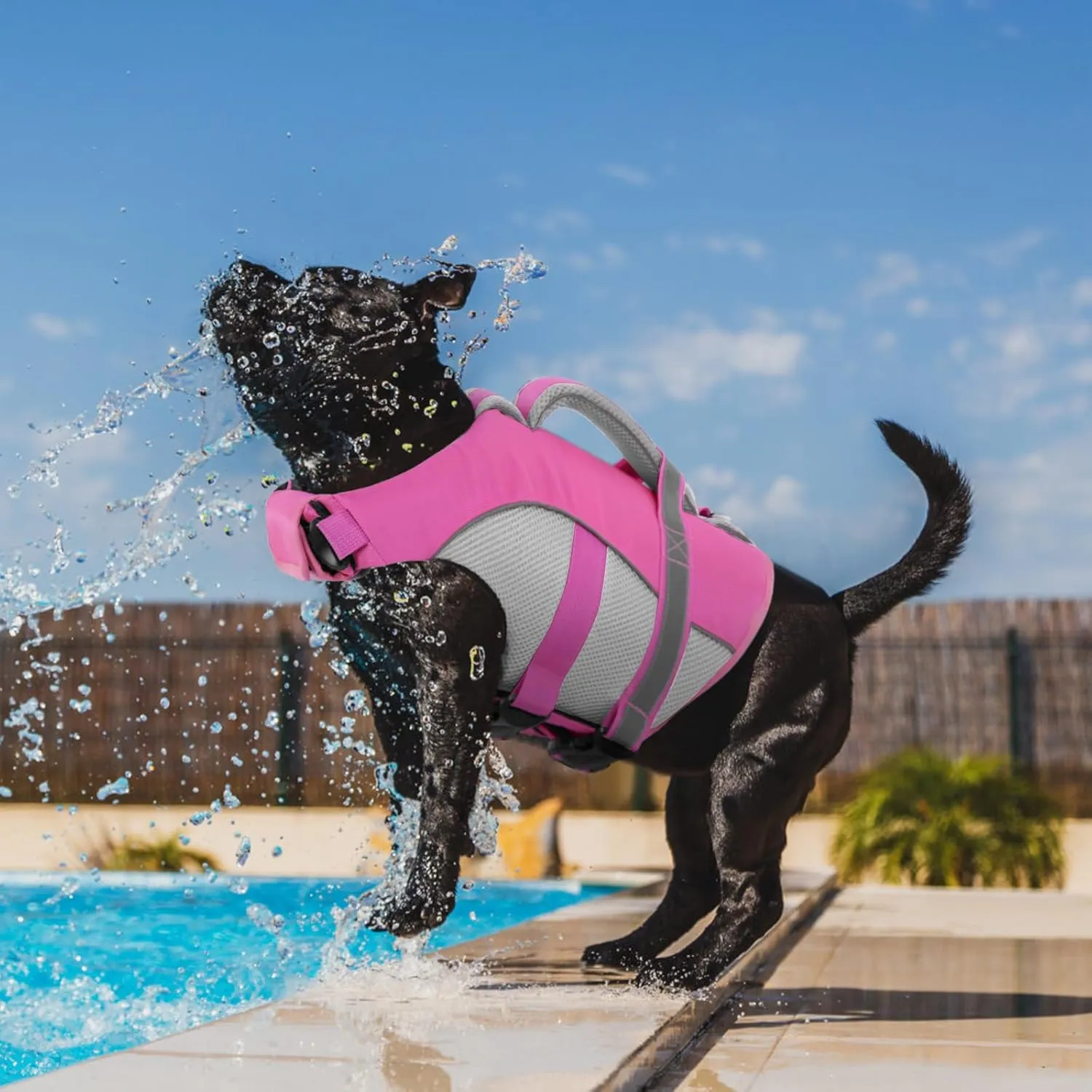 Queenmore Dog Life Vest for Swimming, Adjustable High Visibility Dog Life Jacket with Superior Buoyancy and Rescue Handle, Pink, M