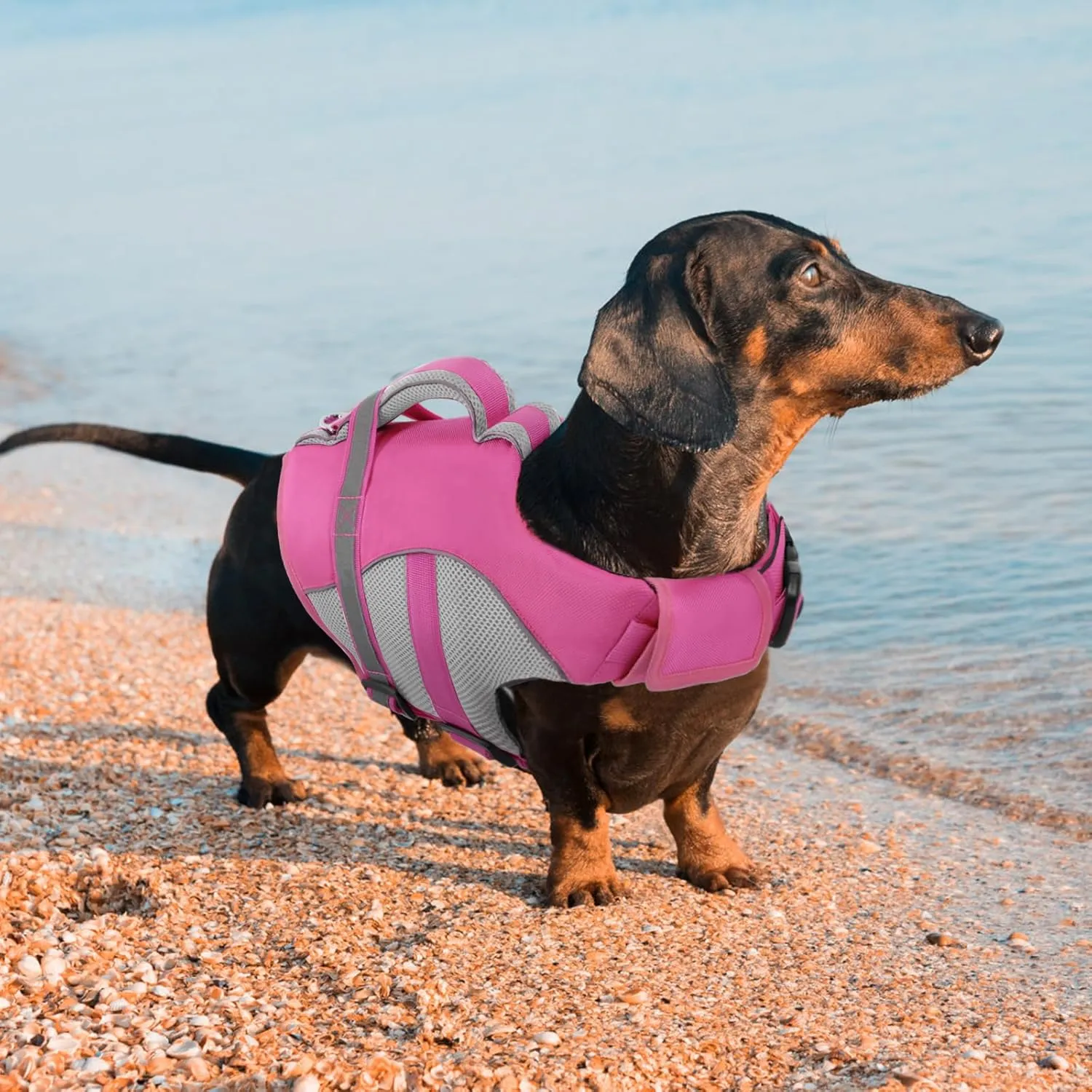 Queenmore Dog Life Vest for Swimming, Adjustable High Visibility Dog Life Jacket with Superior Buoyancy and Rescue Handle, Pink, M