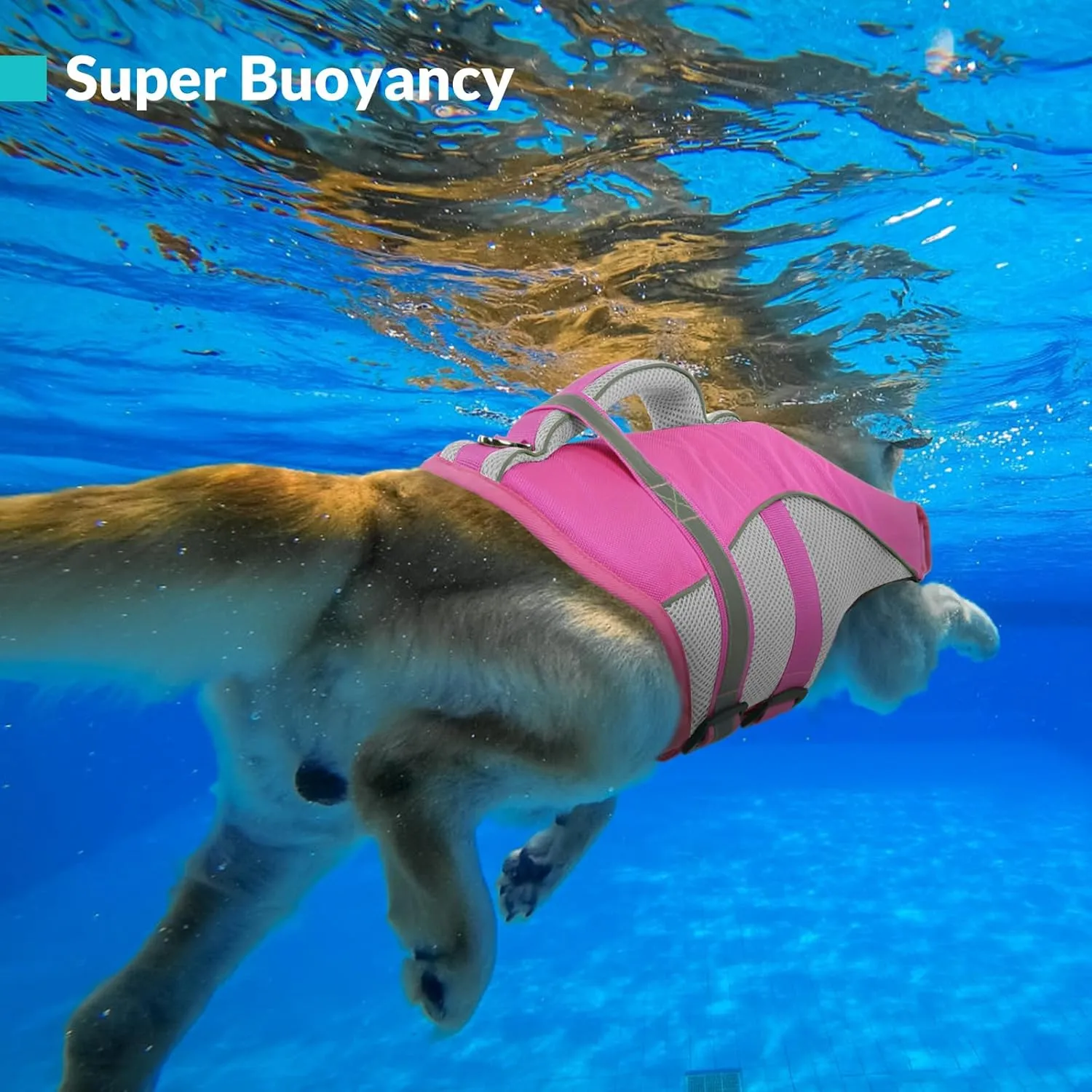 Queenmore Dog Life Vest for Swimming, Adjustable High Visibility Dog Life Jacket with Superior Buoyancy and Rescue Handle, Pink, M
