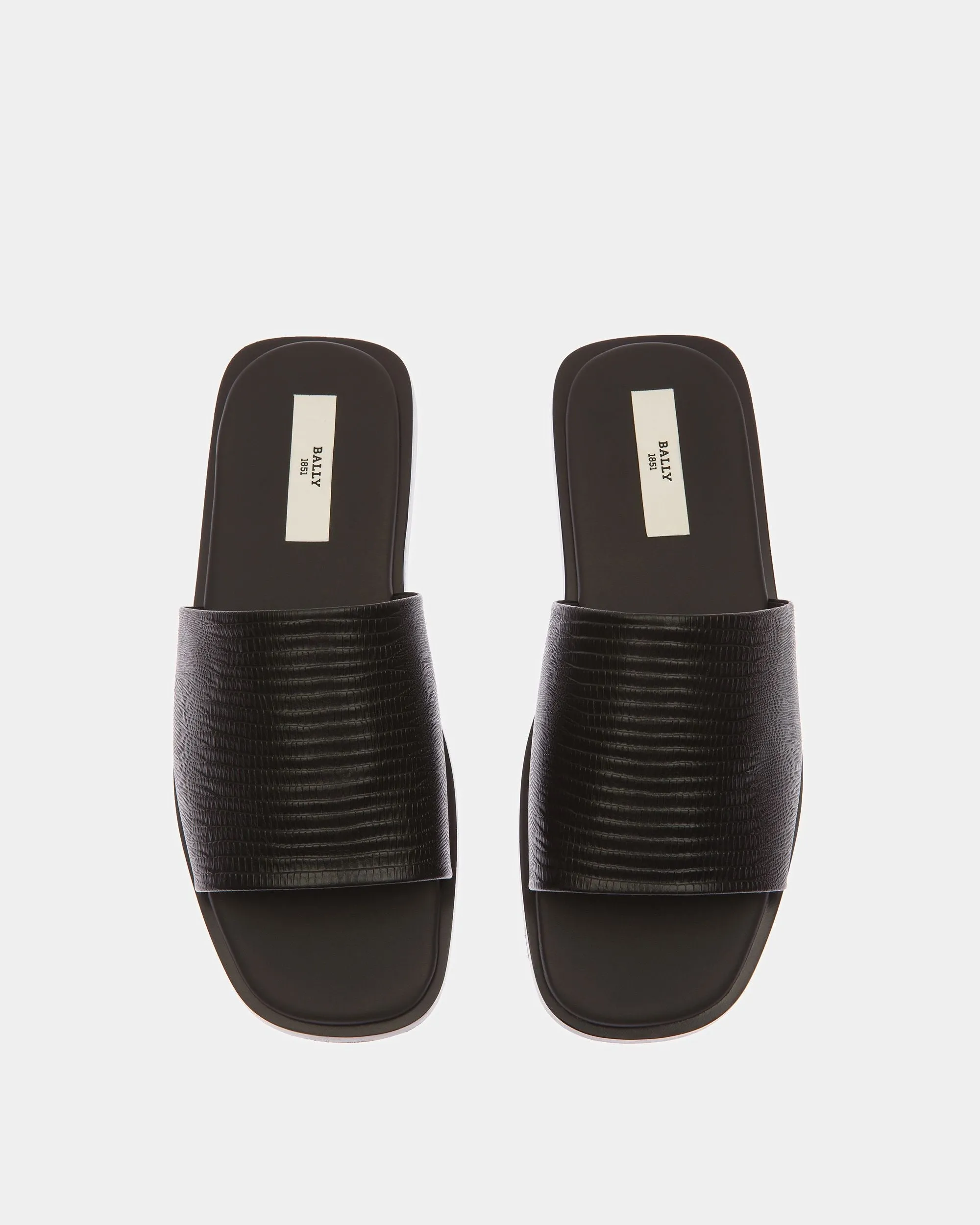 Sabian Leather Sandals In Black