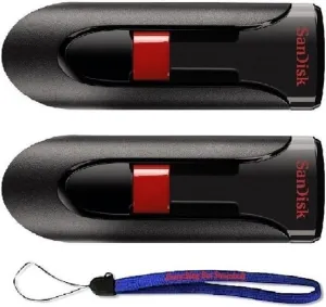 SanDisk Cruzer Glide 64GB (2 Pack) USB 2.0 Flash Drive Jump Drive Pen Drive CZ60 - Bundle with (1) Everything But Stromboli Lanyard