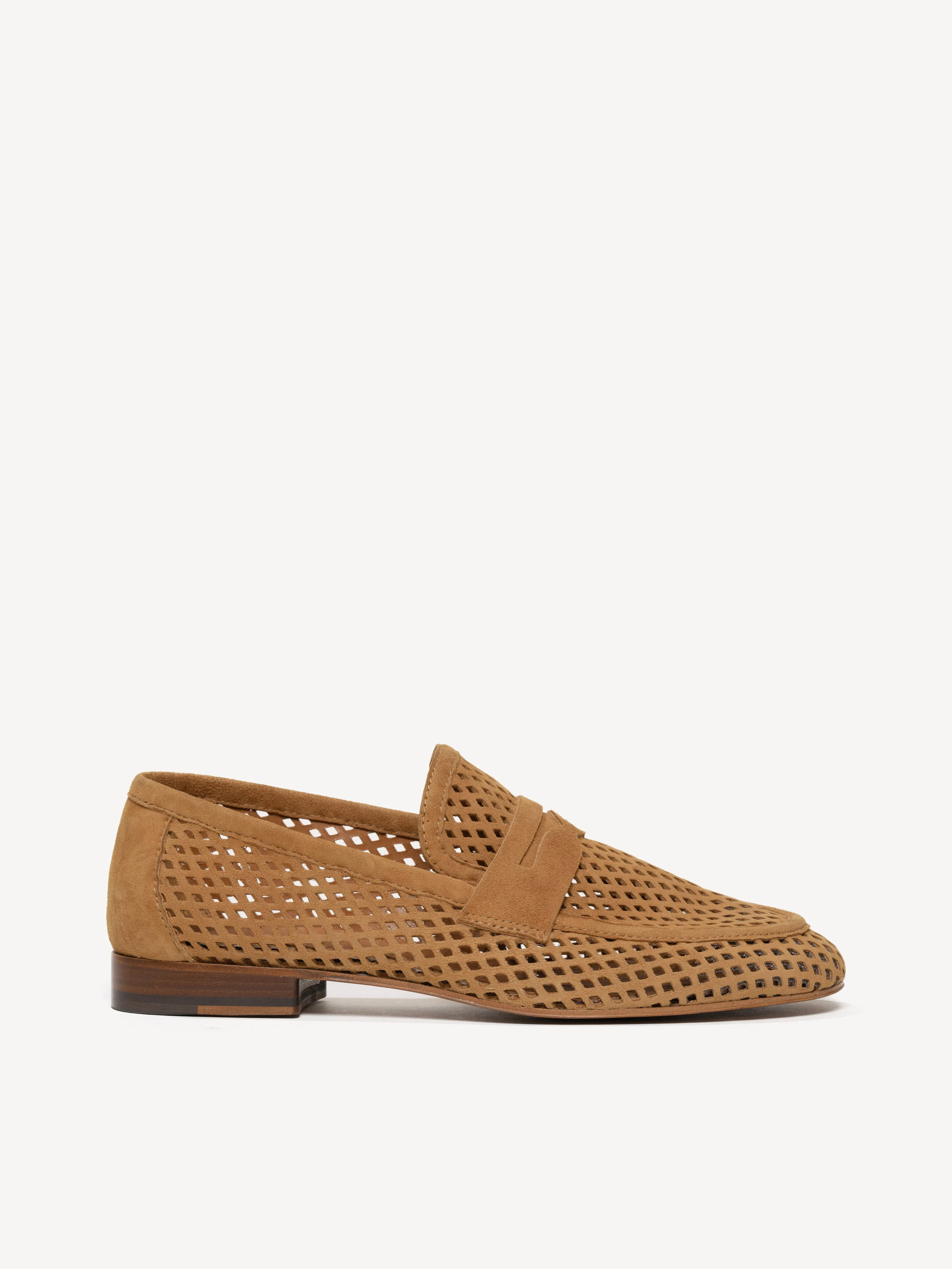 The Sacca Donna Lattice