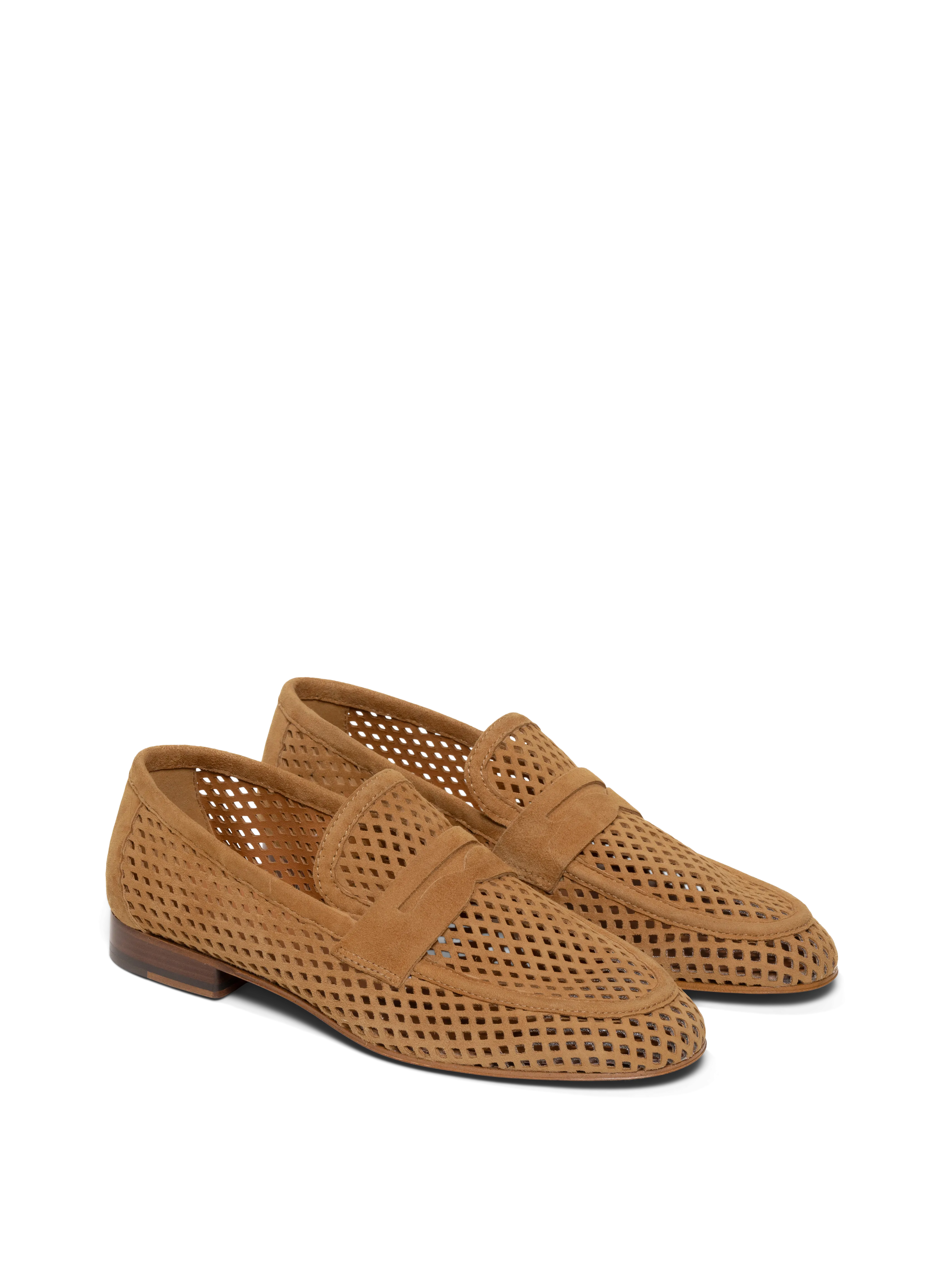 The Sacca Donna Lattice