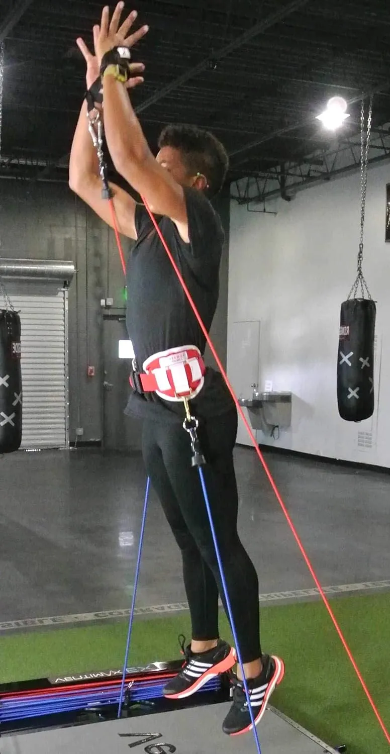 VertiMax Waist Harness Belt