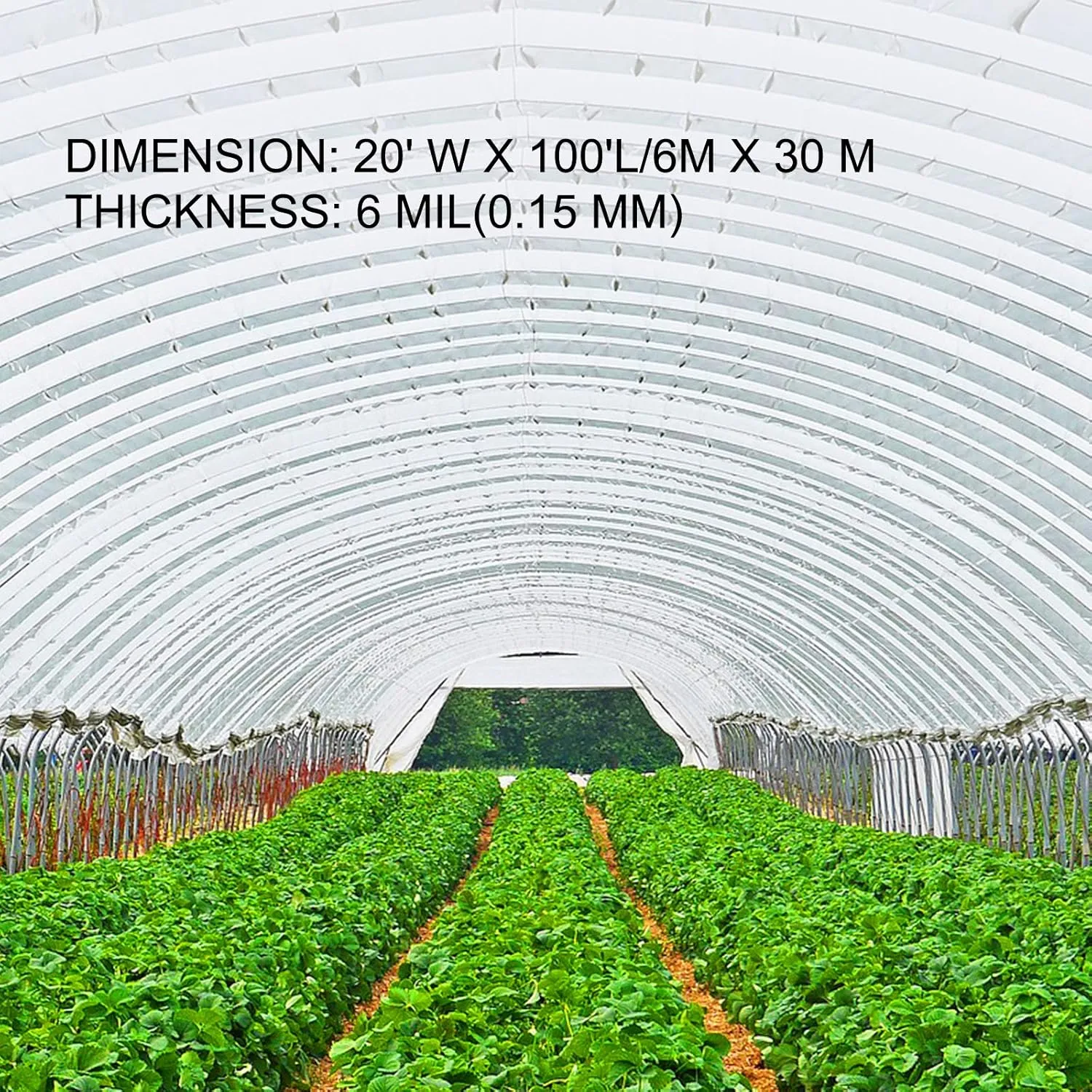 VEVOR Greenhouse Plastic Sheeting 20 x 100 ft, 6 Mil Thickness UV Resistant Clear Polyethylene Film, Hoop Green House Cover for Farms, Agriculture, Garden