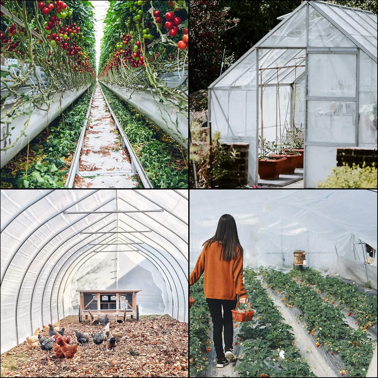 VEVOR Greenhouse Plastic Sheeting 20 x 100 ft, 6 Mil Thickness UV Resistant Clear Polyethylene Film, Hoop Green House Cover for Farms, Agriculture, Garden